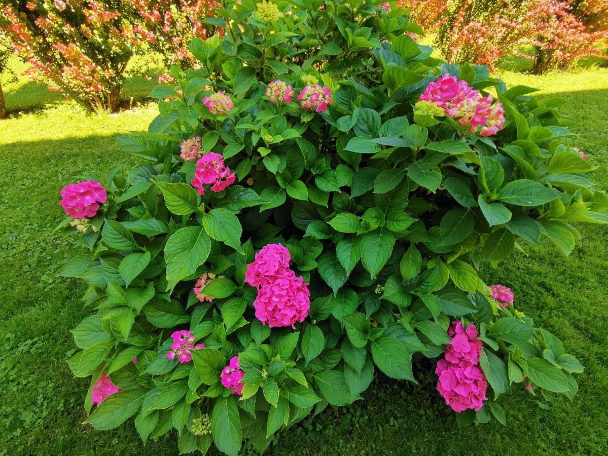Ferienwohnungen Thalmeier 성길벤 외부 사진